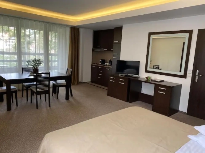 Deluxe Double room with balcony and with garden view