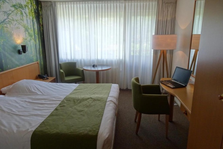 Standard Double room with balcony and with view
