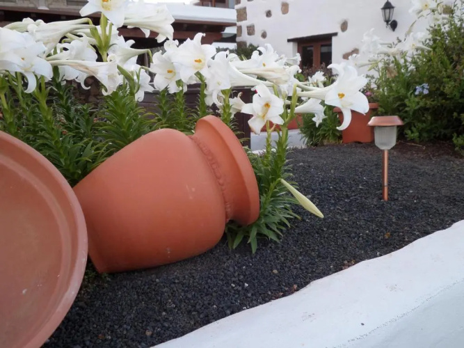 Finca de los Abuelos