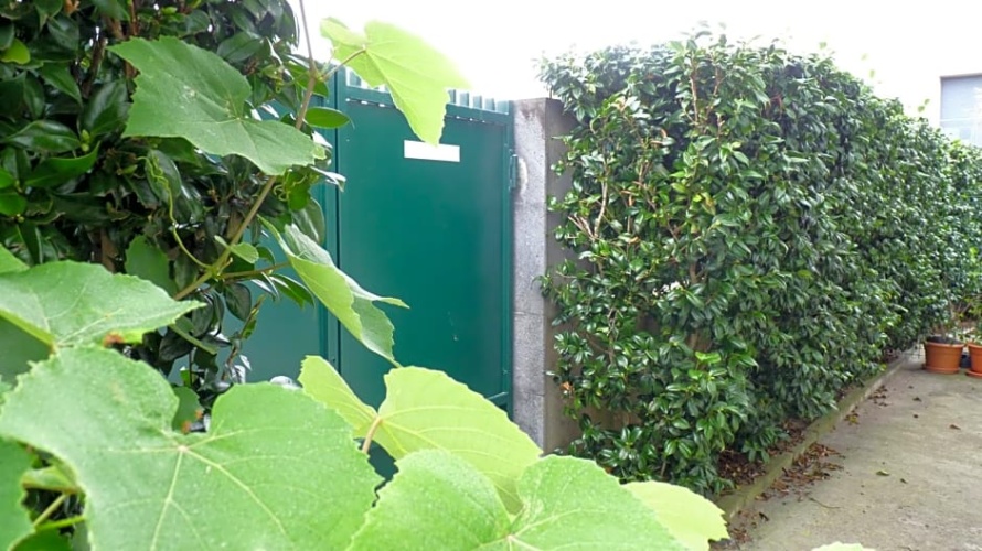 Outside