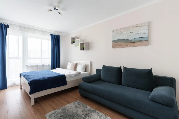 1 Bedroom Apartment