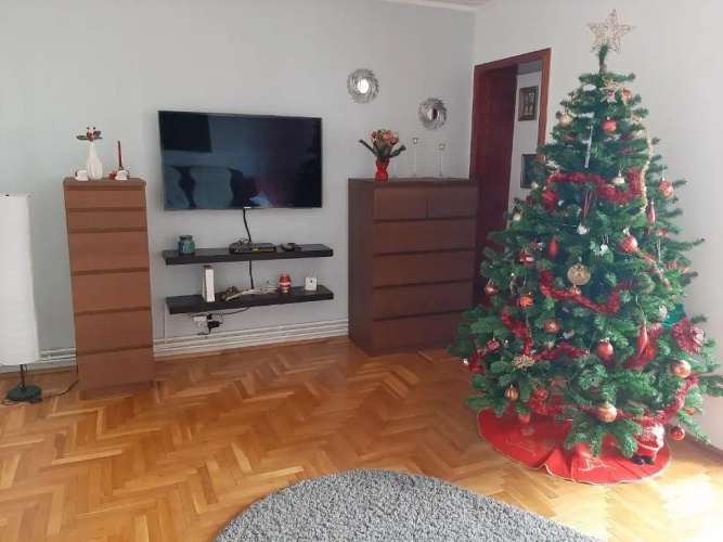 Cozy Apartment