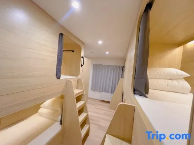 Bed in Dorm