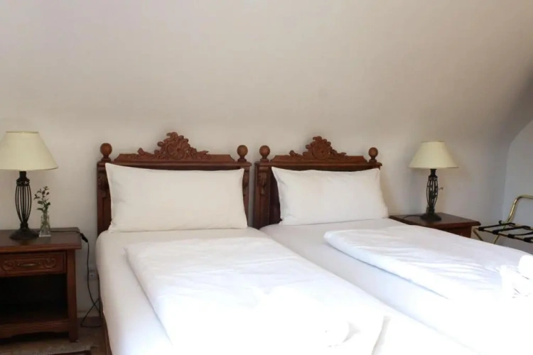 Standard Twin room with mountain view