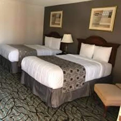 Pet-Friendly Twin room