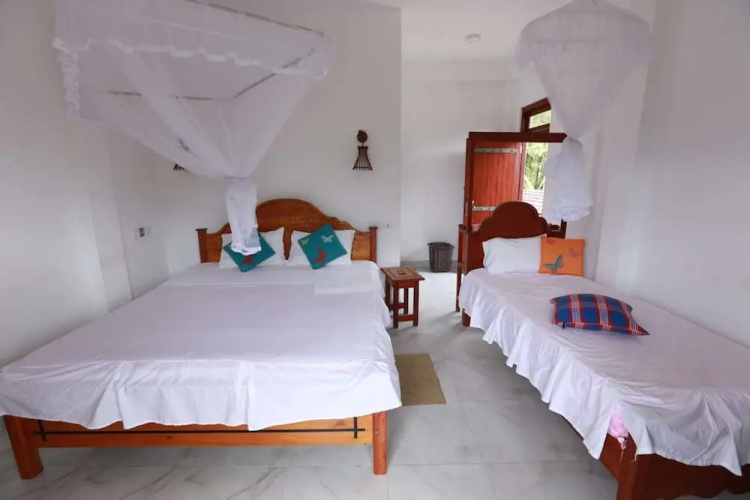 Yoho Cloud Castle Homestay