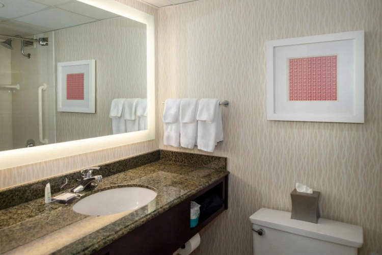 Marriott St. Louis Airport photo 12