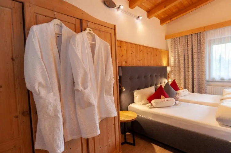 Standard Double room with balcony and with mountain view