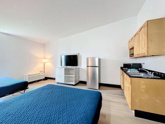Premium Quadruple Studio