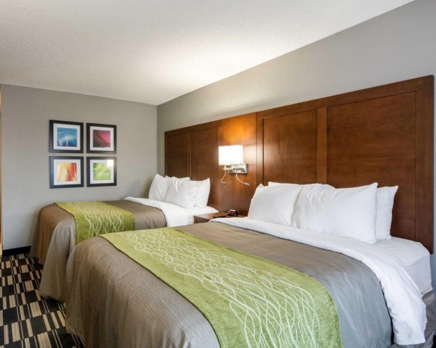 Standard Double room