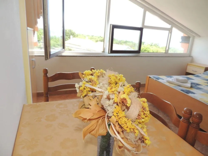 Apartment and rooms Brzac