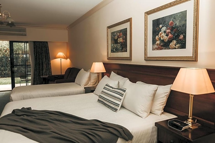 Standard Double room with balcony and with river view
