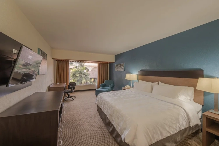 Standard Double room with balcony and with view