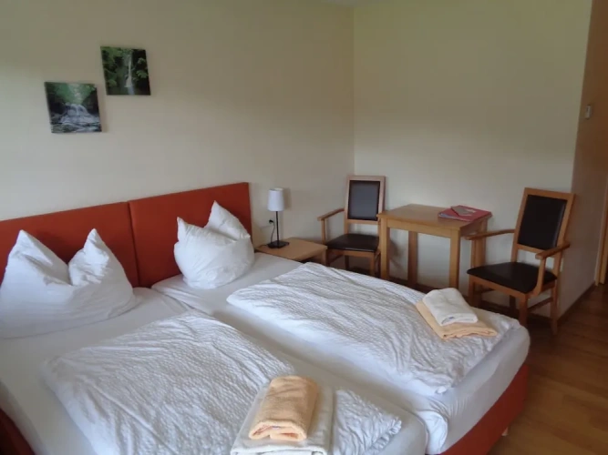 Standard Double room with mountain view