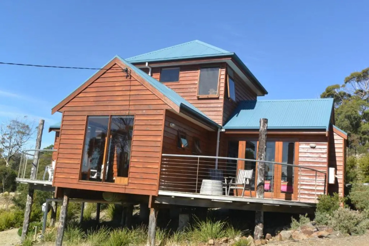 The Tree House