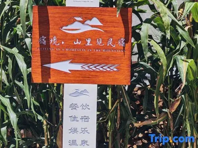 Sukyo: A Secluded Mountain Onsen Yado
