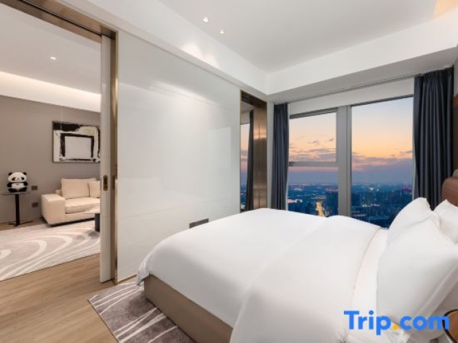 Business Double Suite with city view