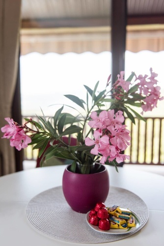 2 Bedrooms Apartment with sea view