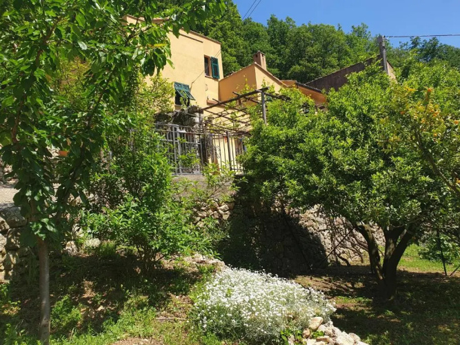 Agriturismo Alveare
