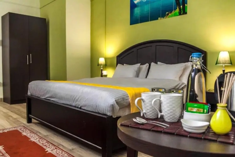 Standard Double room with lake view