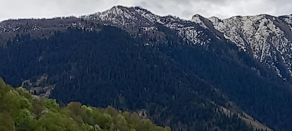 Standard Family room with mountain view