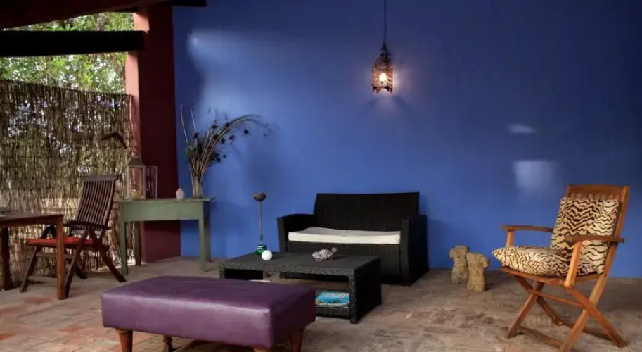 Casa Camaleon