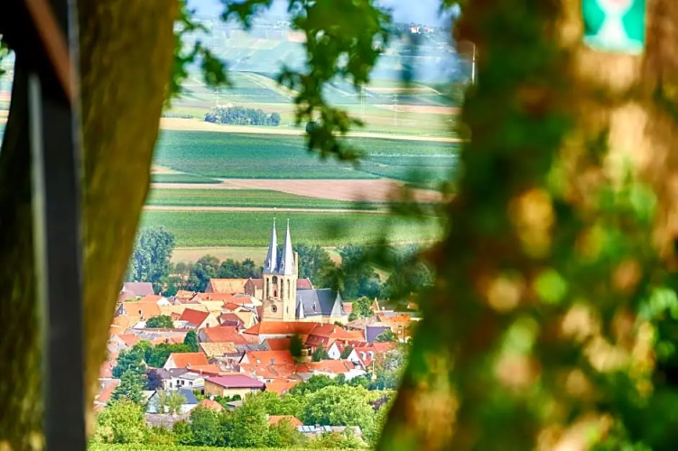 Dohlmühle Restaurant und Gästehaus