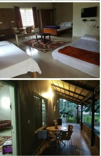 Coorg,The way side cottages