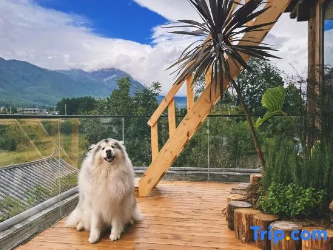 Outside