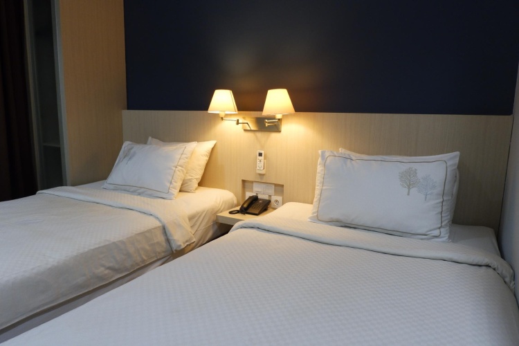 Deluxe Twin room