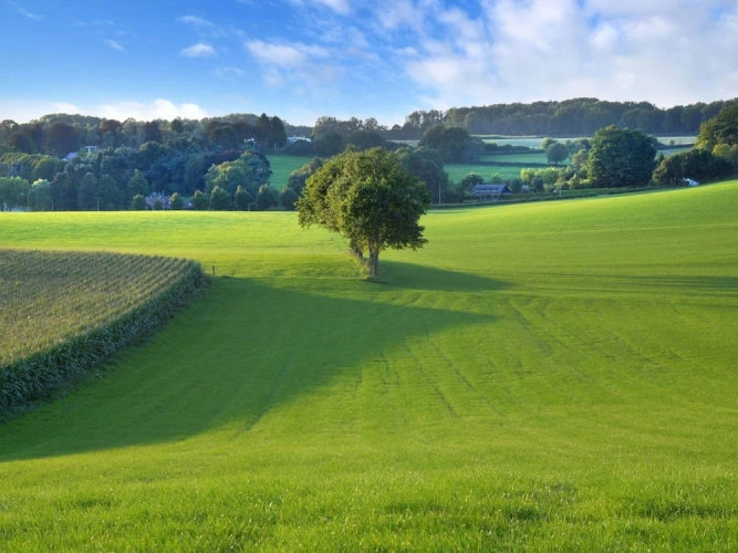 Outside