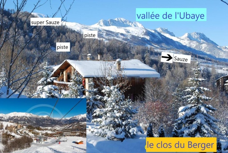1 Bedroom Chalet with view
