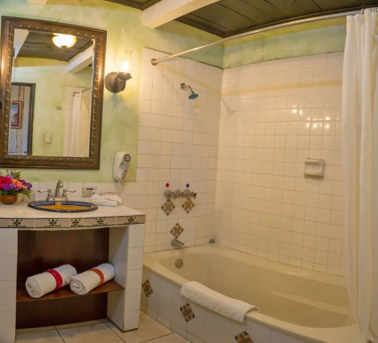 Deluxe Double room with garden view