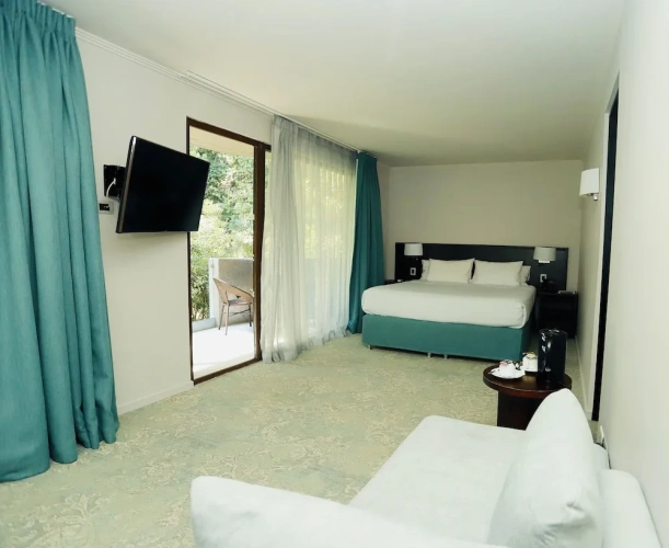 Deluxe Double Suite