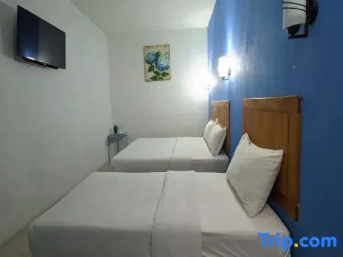 Triple Suite