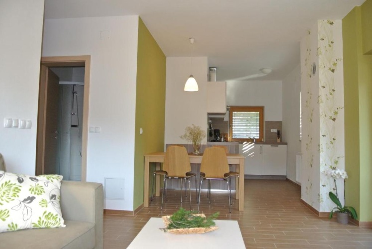 1 Bedroom Apartment with balcony and with view