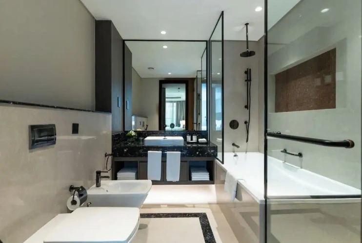 Deluxe Double Apartment with city view
