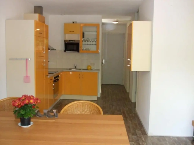 Basement Apartment