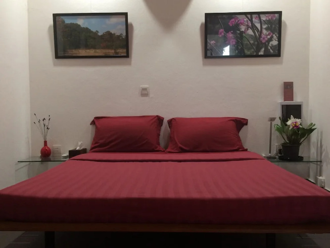 Dracaena Resort