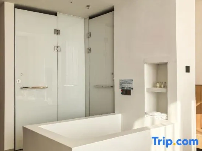 Standard Double room with balcony and with sea view
