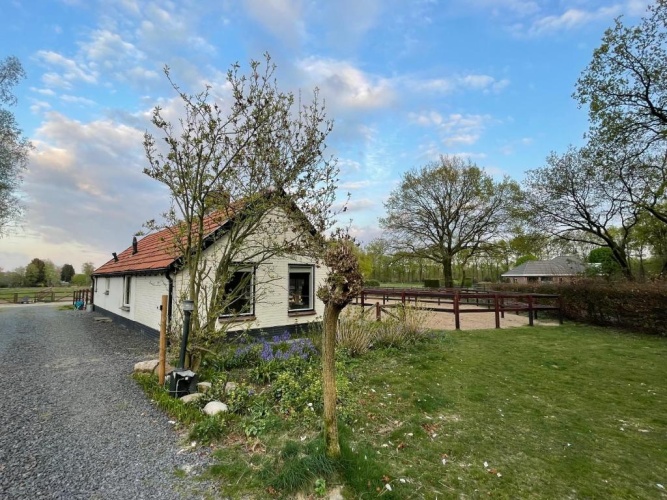 1 Bedroom Cottage
