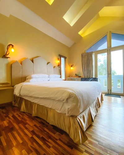 Standard Double room with balcony and with mountain view