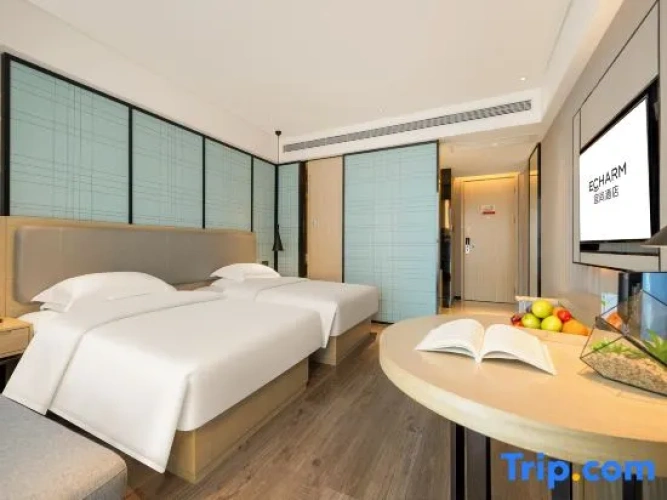 Deluxe Twin room with city view