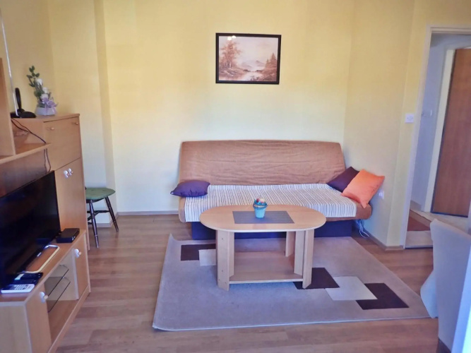 Apartment Putnik