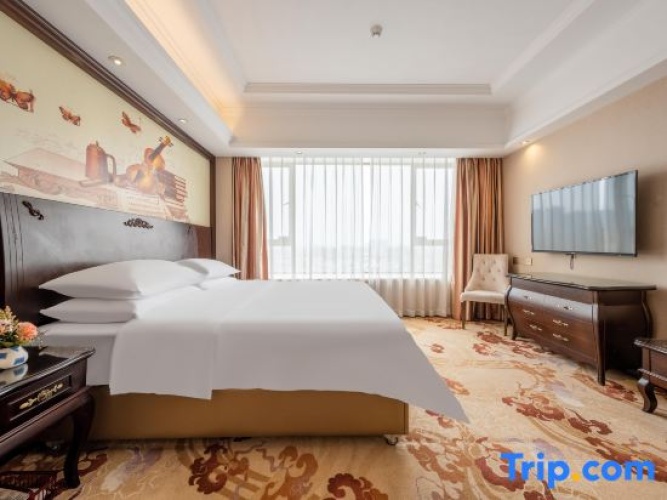 1 Bedroom Deluxe Suite with view