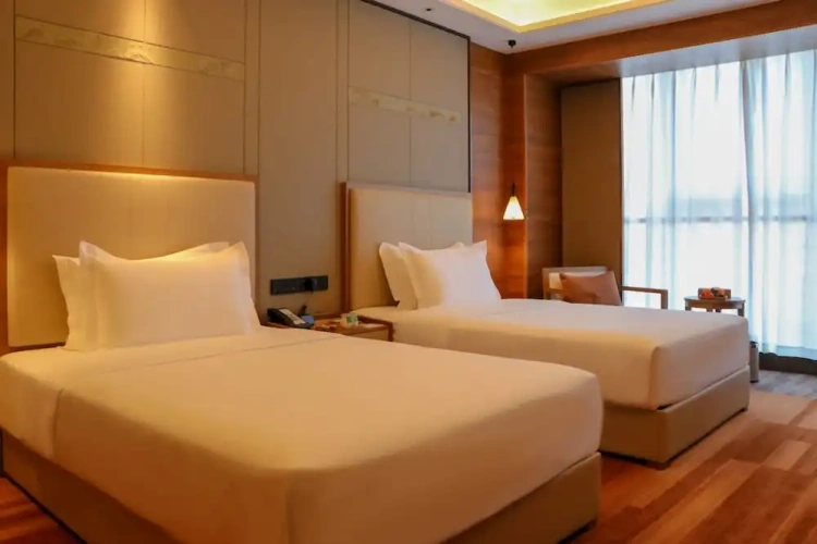 Luxury Twin room