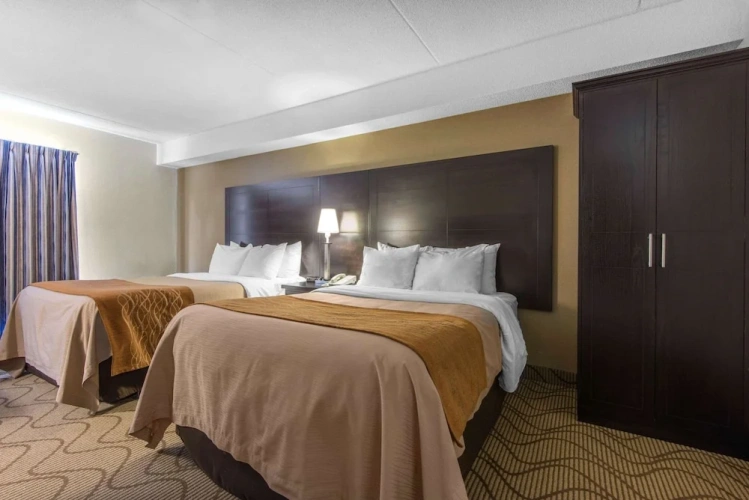 Business Double Basement room