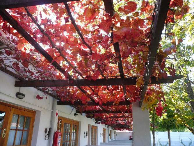 Die Herehuis Guesthouse - Beaufort West