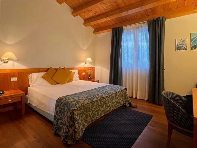 1 Bedroom Standard Double room