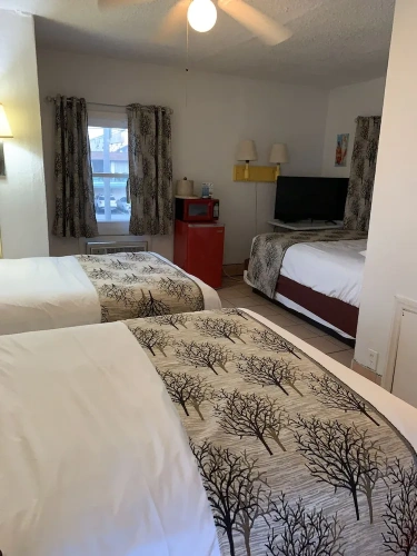 1 Bedroom Standard Quadruple Family room